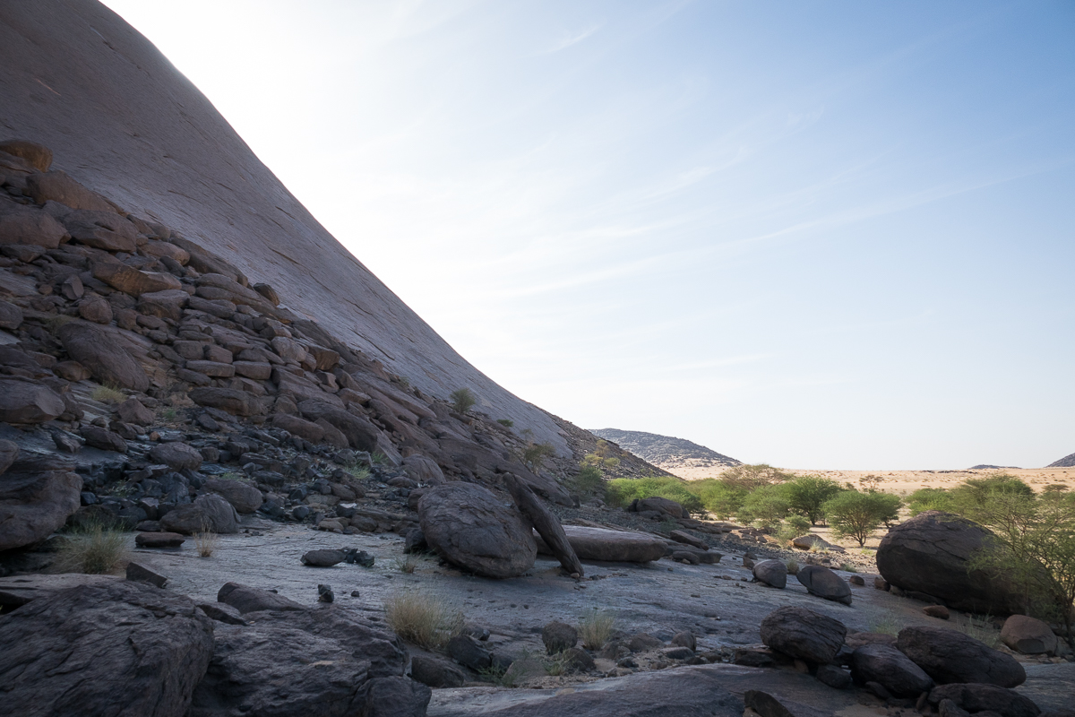 Sophie et Bernard-Nicolas-Sidi et Bouha-Fx