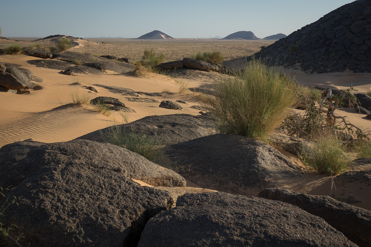 Sophie et Bernard-Nicolas-Sidi et Bouha-Fx