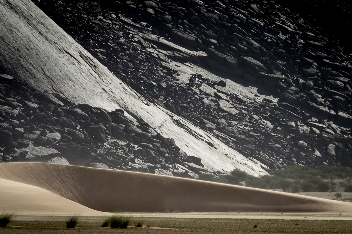 Sophie et Bernard-Nicolas-Sidi et Bouha-Fx