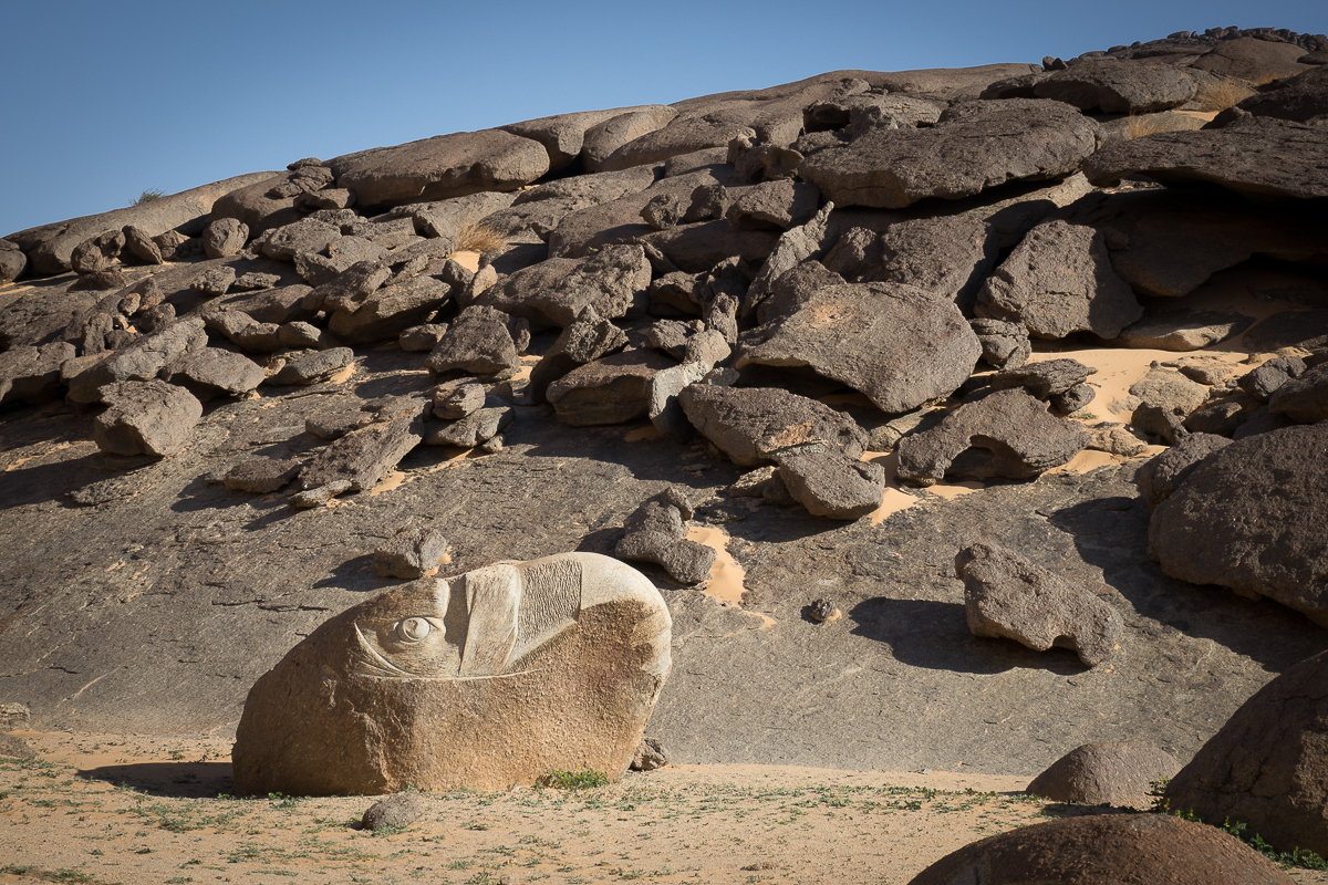 Sophie et Bernard-Nicolas-Sidi et Bouha-Fx
