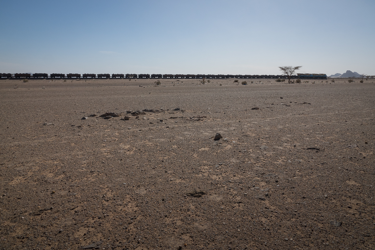 Sophie et Bernard-Nicolas-Sidi et Bouha-Fx