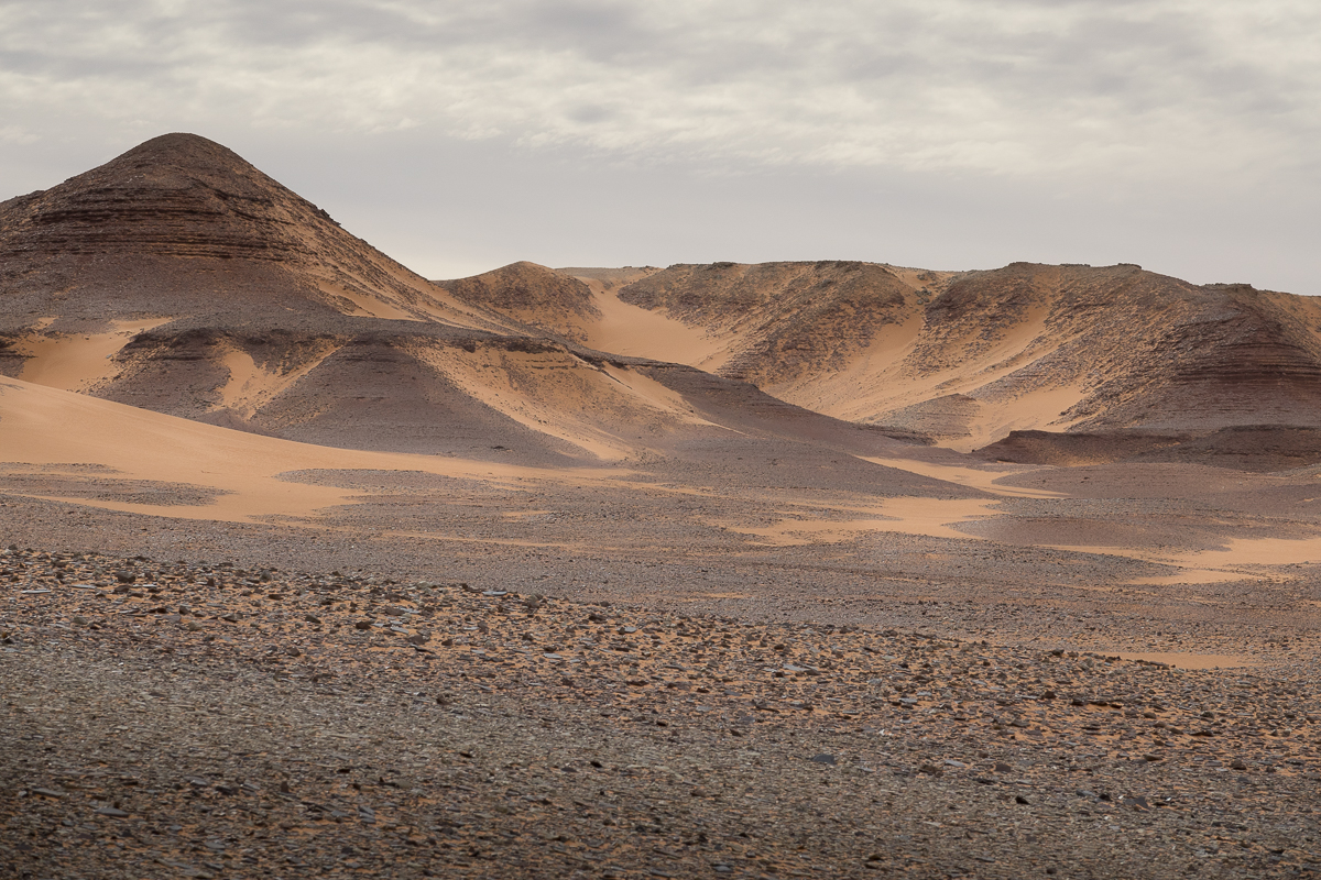 Sophie et Bernard-Nicolas-Sidi et Bouha-Fx