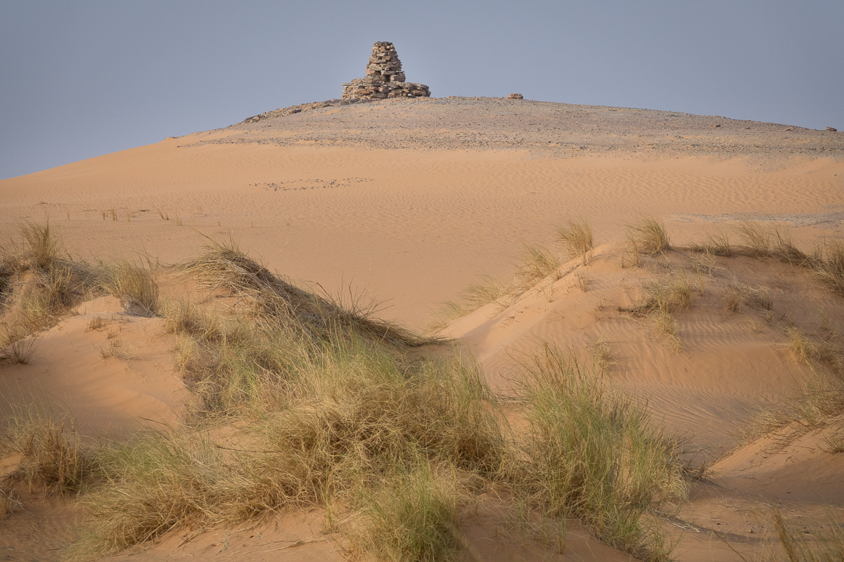 Sophie et Bernard-Nicolas-Sidi et Bouha-Fx