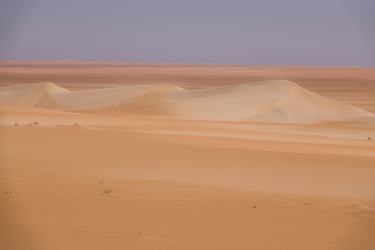 Sophie et Bernard-Nicolas-Sidi et Bouha-Fx