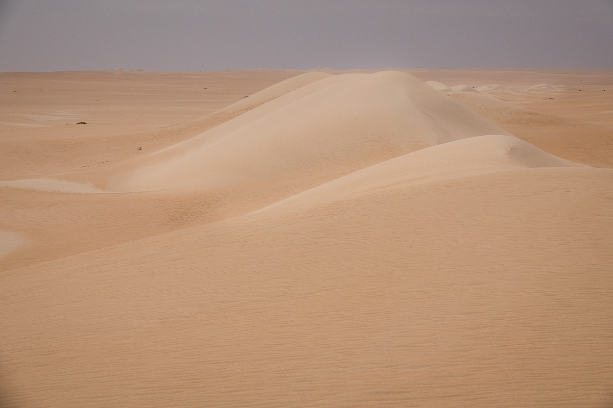 Sophie et Bernard-Nicolas-Sidi et Bouha-Fx