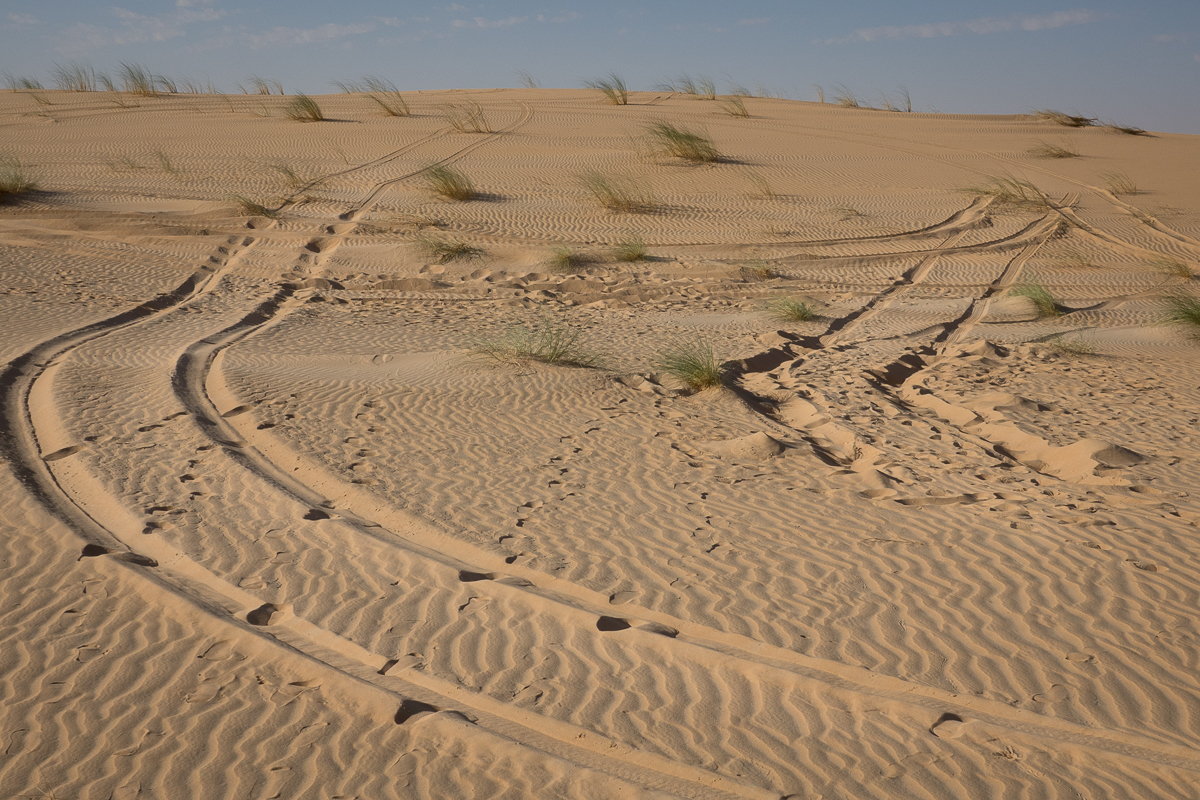Sophie et Bernard-Nicolas-Sidi et Bouha-Fx