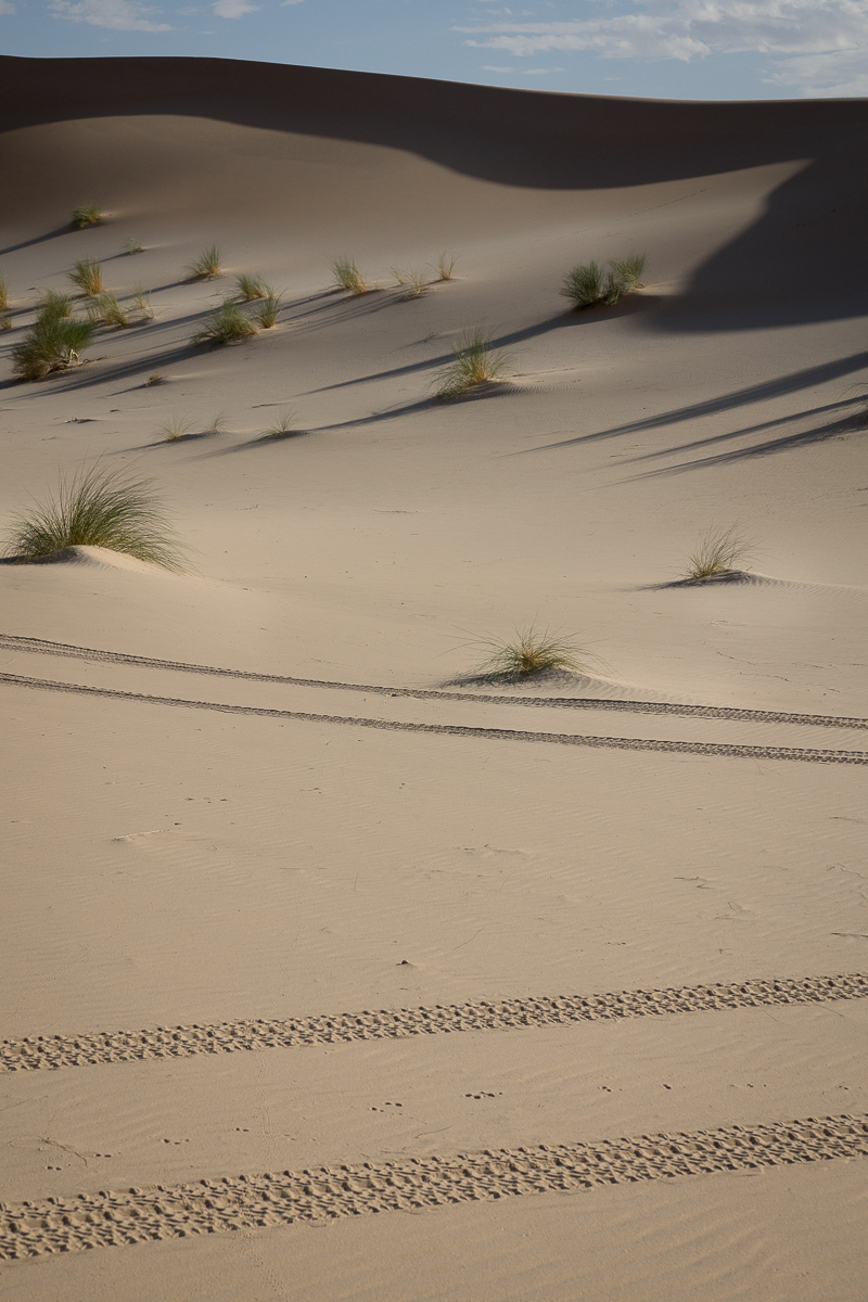 Sophie et Bernard-Nicolas-Sidi et Bouha-Fx