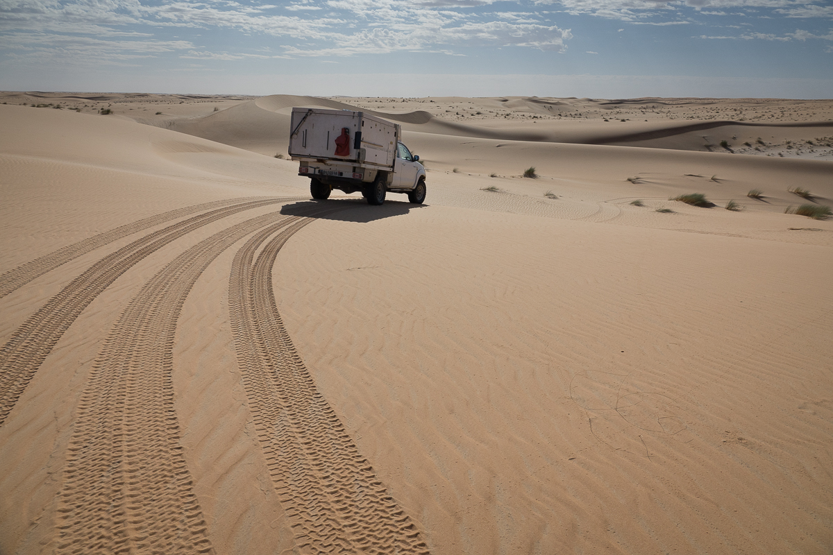 Sophie et Bernard-Nicolas-Sidi et Bouha-Fx