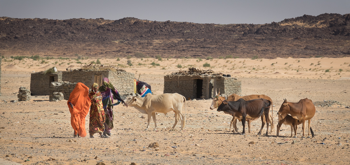 Sophie et Bernard-Nicolas-Sidi et Bouha-Fx