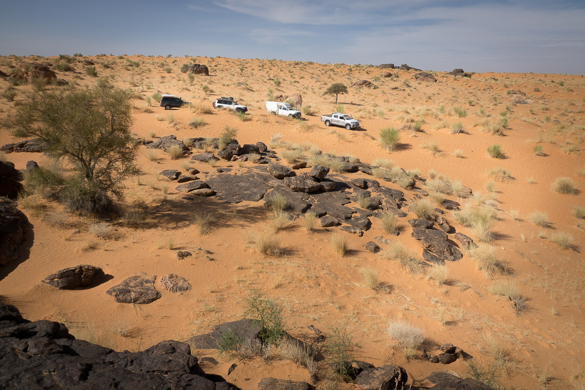 Sophie et Bernard-Nicolas-Sidi et Bouha-Fx