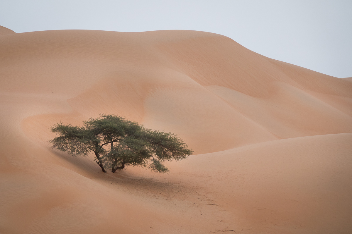 Sophie et Bernard-Nicolas-Sidi et Bouha-Fx