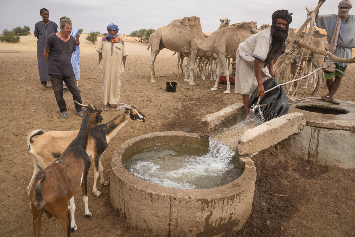 Sophie et Bernard-Nicolas-Sidi et Bouha-Fx