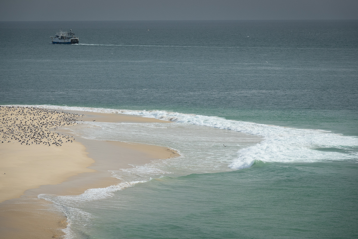 Sophie et Bernard-Nicolas-Sidi et Bouha-Fx