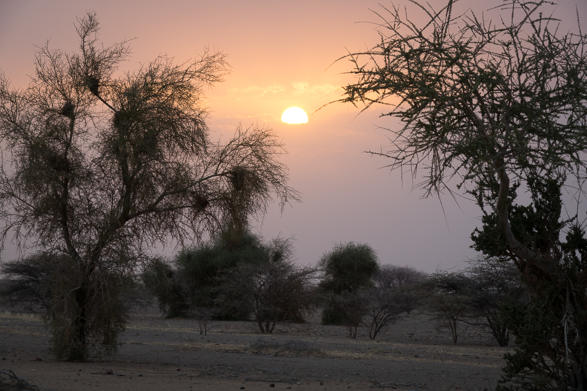 Mauritanie Janvier - Février  2025
