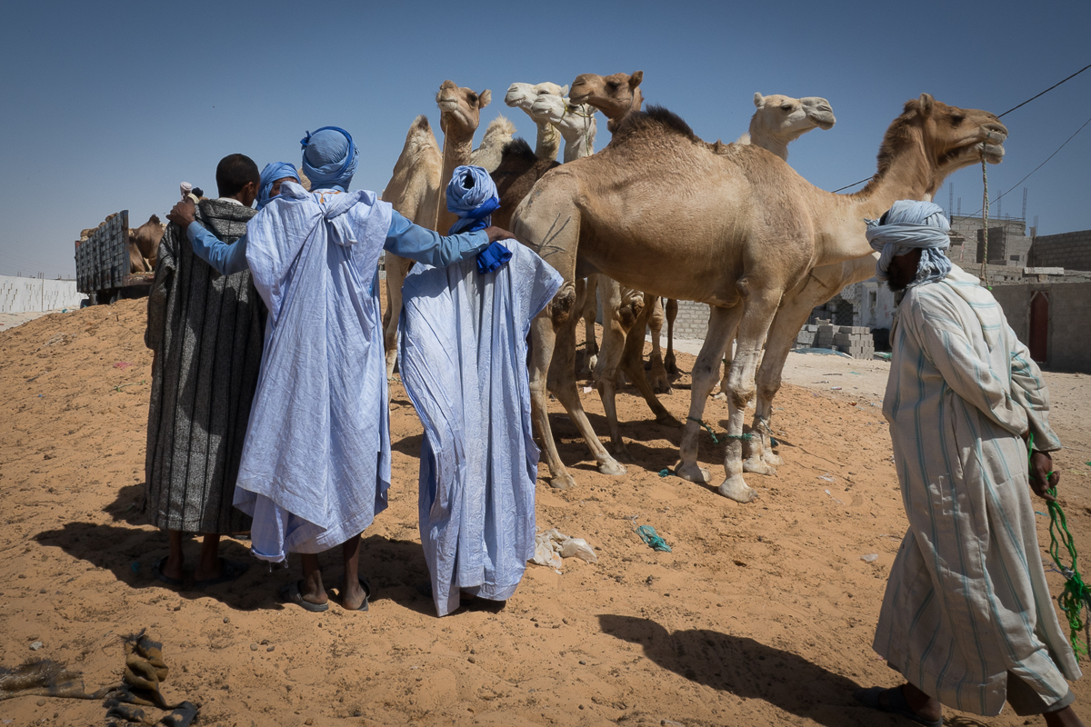 Mauritanie Janvier - Février  2025